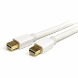 Startechcom 10ft (3m) Mini Displayport Cable 4k X2k Ultra Hd Video Mini Displayport 12 Cable Mini Dp Cable for Monitor White Mdp Cord