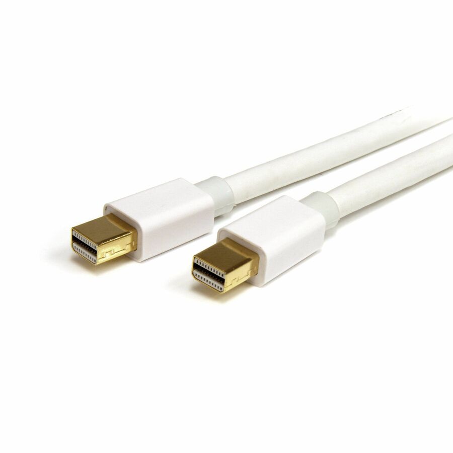 Startechcom 6ft (2m) Mini Displayport Cable 4k X2k Ultra Hd Video Mini Displayport 12 Cable Mini Dp Cable for Monitor White Mdp Cord