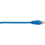 Black Box Cat5e Value Line Patch Cable Stranded Blue 3-Ft (09-M)