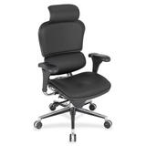 Eurotech Ergohuman Le9erg High Back Executive Chair