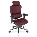 Eurotech Ergohuman Le9erg High Back Executive Chair