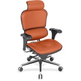 Raynor Ergohuman Leather Executive Chair
