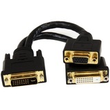 Startechcom 8in Wyse Dvi Splitter Cable - Dvi-I to Dvi-D and Vga - Mf
