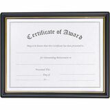 Nudell Plastic Framed Award Certificate