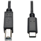 Tripp Lite 6ft Usb 20 Hi-Speed Cable B Male to Usb Type-C Usb-C Male 6