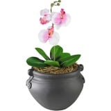 Golite Nu-Dell Artificial Orchid Plant with Container