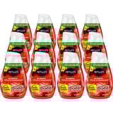 Renuzit Gel Air Freshener