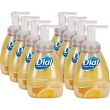 Dial Complete Kitchen Foaming Hand Soap
