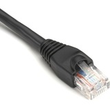 Black Box Gigabase Cat5e Utp Patch Network Cable