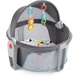 Fisher-Price on-the-Go Baby Dome
