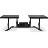 Allsop Metal Art Ergotwin Height Adjustable Dual Monitor Stand - (31883)