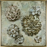 Lorell Succulent Floral Design Framed Canvas Art