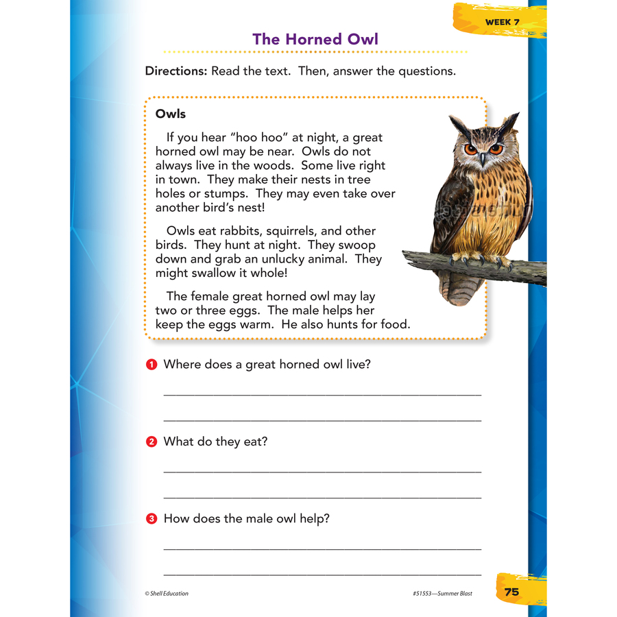 Shell Education Summer Blast Student Workbook Printed Book by Wendy Conklin