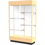 Waddell 4 Lighted Floor Case