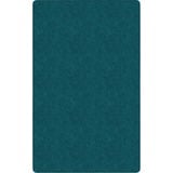 Flagship Carpets Amerisoft Solid Color Rug