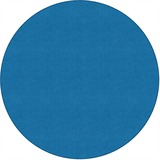 Flagship Carpets Ameristrong Solid Color Rug