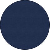 Flagship Carpets Ameristrong Solid Color Rug