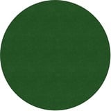 Flagship Carpets Ameristrong Solid Color Rug