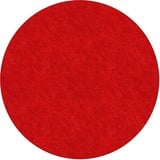 Flagship Carpets Amerisoft Solid Color Rug