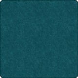 Flagship Carpets Amerisoft Solid Color Rug