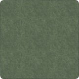 Flagship Carpets Amerisoft Solid Color Rug