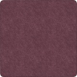 Flagship Carpets Amerisoft Solid Color Rug