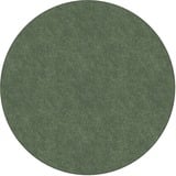 Flagship Carpets Amerisoft Solid Color Rug