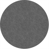 Flagship Carpets Amerisoft Solid Color Rug