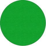 Flagship Carpets Ameristrong Solid Color Rug