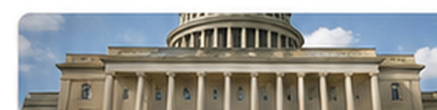 ALMS Marketplace government