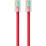 Belkin RJ45 CAT-5e Patch Cable Red 25