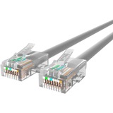 Belkin RJ45 Category 5e Patch Cable