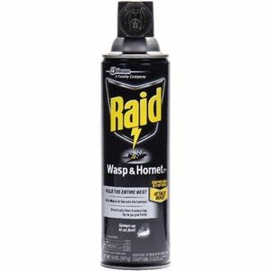 Raid Wasp and Hornet Killer 33